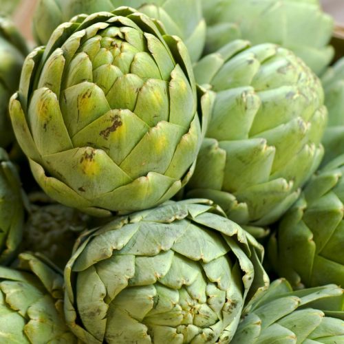 Hoa atiso xanh ngâm rượu như thế nào?